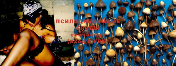 mdpv Михайловск